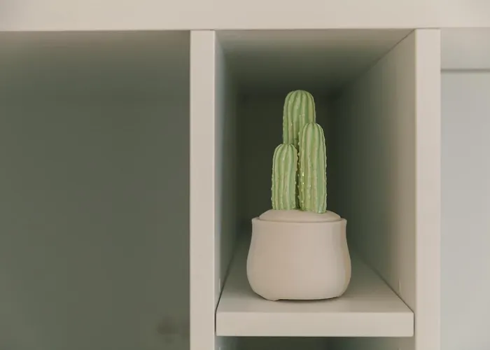 Palazzo Fiscaiolo Monopoli